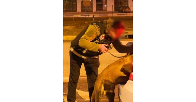 Isparta’da narkotikten bir haftada 18 operasyon, 3 tutuklama