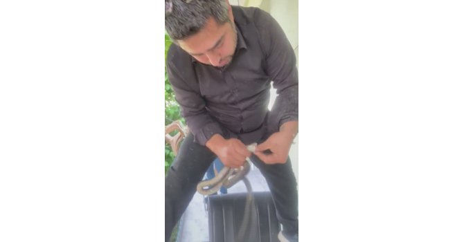 Klima ünitesinin boru hattında yakaladığı yılanı "Sevgili yılan insanlardan uzak dur, yoksa ne yaparlar biliyorsun" diyerek doğaya saldı