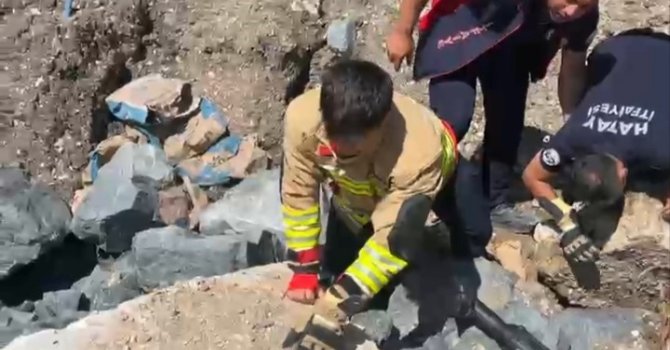 Anne kedi yavruları kurtarılana kadar ekiplerin başında bekledi