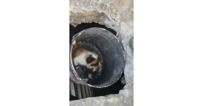 Osmaniye’de balyozla genişletilen kuyudan yavru kedi kurtarıldı