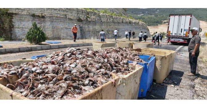 Seyir halindeki tırın dorsesi patladı, 15 ton balık atığı yola saçıldı