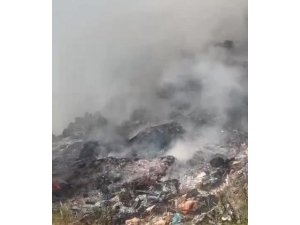 Çöp döküm alanındaki yangın ormana sıçradı