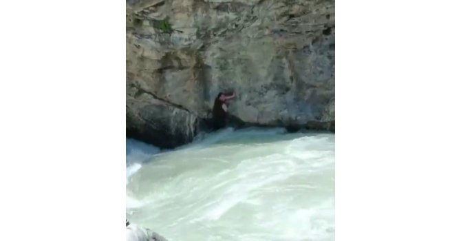 Ceyhan Nehri’nde boğulan vatandaşın son görüntüsü ortaya çıktı