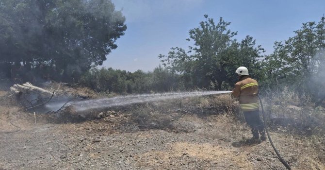 Hassa’da otluk alandan alevler yükseldi