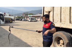 Osmaniye’de kaçak yolcu yılan, üçüncü araçta yakalandı