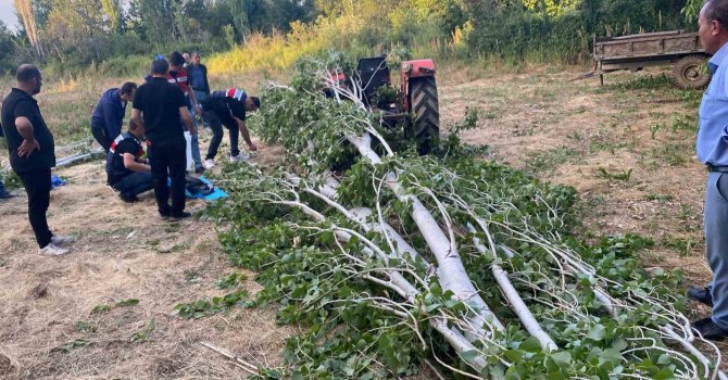 Isparta’da kestiği ağacın altında kalan adam hayatını kaybetti