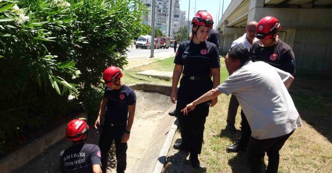 Düştü diye ihbar ettiği babası bile düşmediğine ikna edemedi