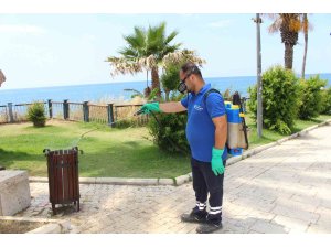 Antalya’da vektörle mücadele 19 ilçede sürdürülüyor