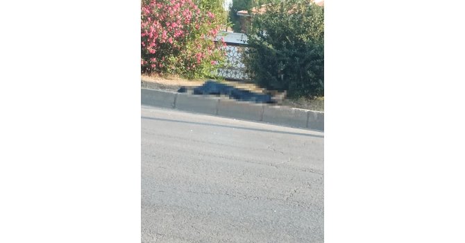 Adana’da minibüsün çarptığı yaya hayatını kaybetti