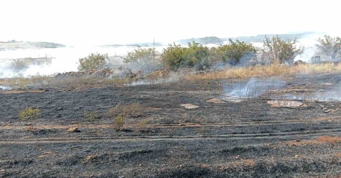 Antalya’da otluk alan yangını itfaiye ekiplerince söndürüldü