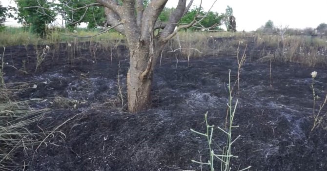 Burdur’da 15 dönümlük alan yangında zarar gördü