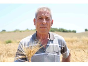Adana’da ata tohumu karakılçık buğdayı yeniden üretime kazandırıldı