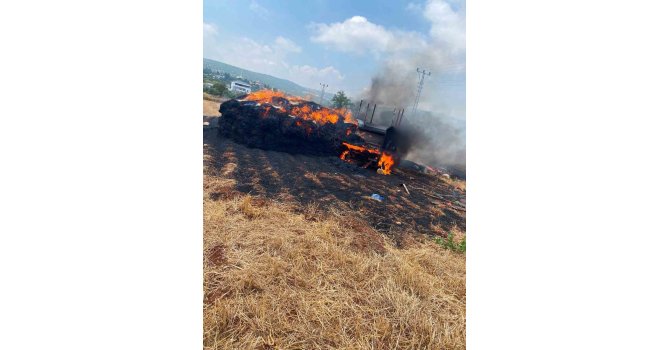 Tarsus’ta saman balyaları alevlere teslim oldu