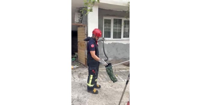 Osmaniye’de evin bahçesinde görülen yılan yakalandı