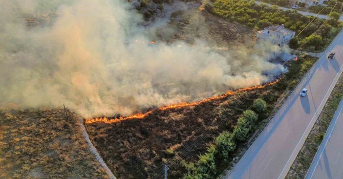 Mersin’de çıkan yangın evlere ve ormana ulaşmadan söndürüldü