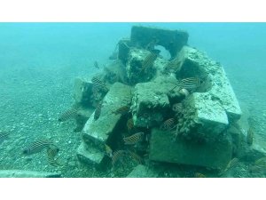 Denize düşen beton ağırlıklardan yapay resif oluşturdular