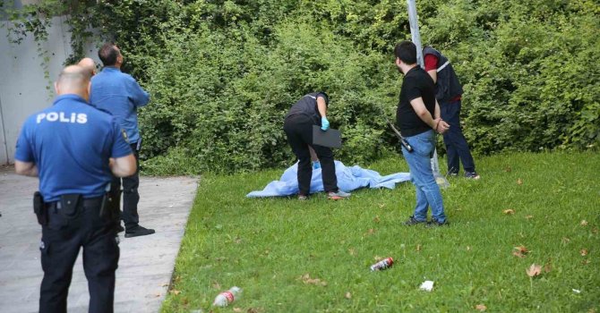 Panaromik asansörde manzara izlerken düşerek hayatını kaybetti