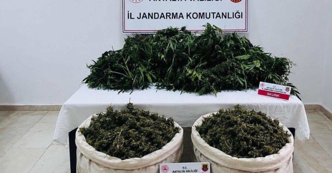 Antalya’da uyuşturucu operasyonunda 11 kilo 100 gram kubar esrar ele geçirildi