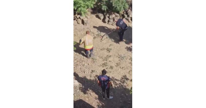 Yakalanacakken kaçan yılan, ekipleri peşine taktı
