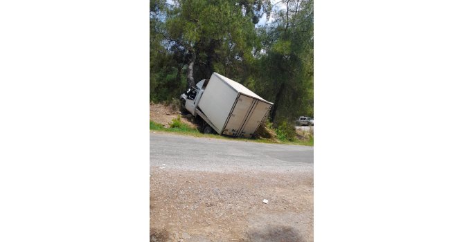 Alanya’da kamyonet ağaca çarptı: 1 ölü, 1 ağır yaralı