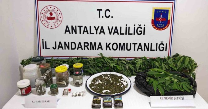 Manavgat’ta 2 kilo kubar esrar ve 130 kök kenevir ele geçirildi