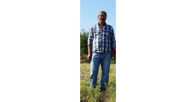 Sabah süt sağmaya inmişti, elektrik akımından hayatını kaybetti