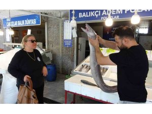 Mersin’de dev yılan balığı tezgahta ilgi odağı oldu