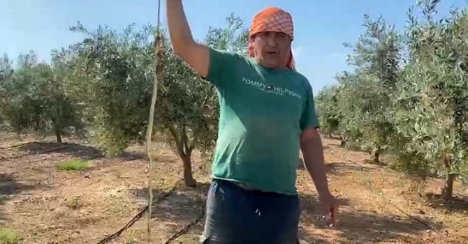 ’Yılanı öldürdüm’ deyip çektirdiği video pahalıya mal oldu: 22 bin TL ceza yedi