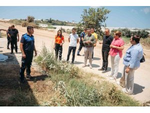 Alanya’da geniş kapsamlı çevre denetimi