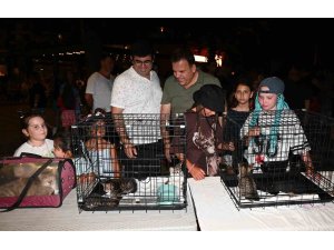 Kemer Belediyesi’nde "Can dostları" için konser