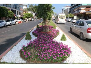 Alanya Belediyesi’nden yeşil alanlarda yoğun mesai
