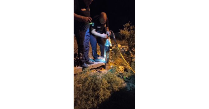 Demir borunun içinde ölümü bekleyen kirpi 1 saatlik operasyonla kurtarıldı