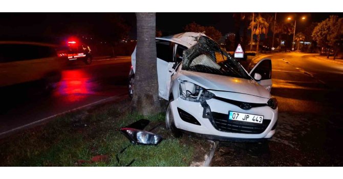 Refüjdeki palmiyeye çarpan otomobilin sürücüsü yaralandı