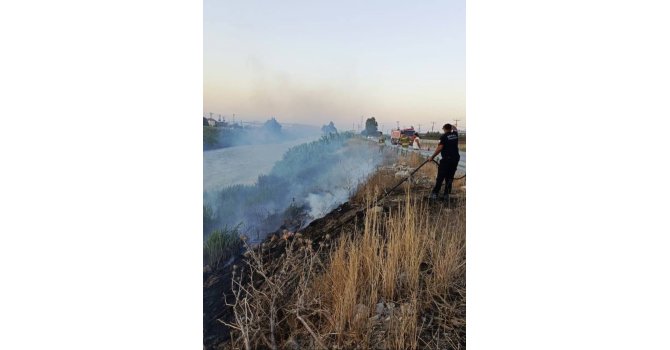 Antakya’da Asi Nehri kenarında sazlık yangını