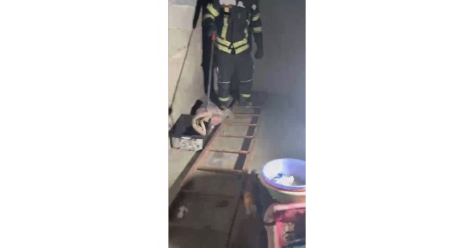 Evde görülen zehirli engerek itfaiye ekiplerince yakalandı