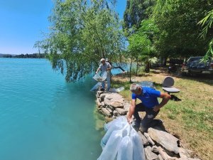 Manavgat’ta 400 bin balık yavrusu baraj gölünde bırakıldı
