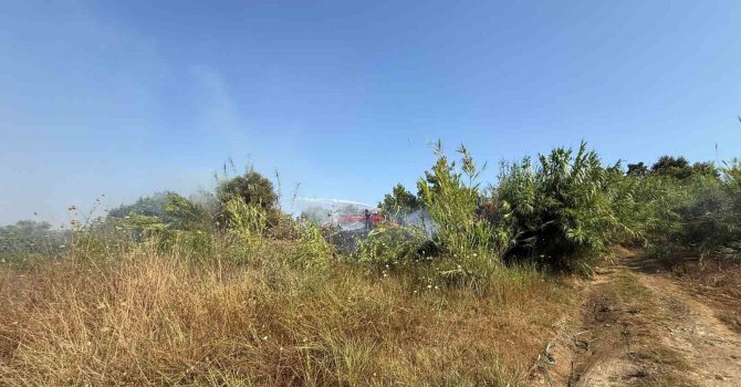 Manavgat’ta kamışlık alanda çıkan yangın söndürüldü