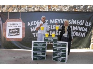 Mersin’de Akdeniz Meyve Sineğine karşı feromon tuzağı desteği