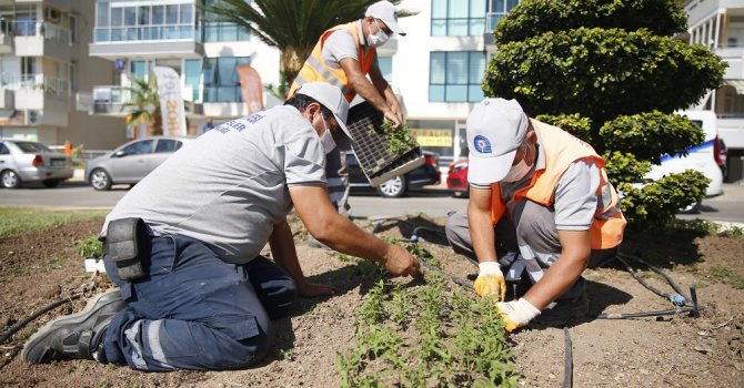 3 milyon kışlık çiçek toprakla buluşuyor