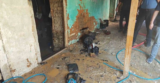 Kovada yakılan kağıtlar tekrar alevlendi, yangın eve sıçramadan söndürüldü