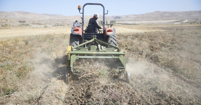 Faydalı böcek yetiştiriciliği için ekilen patatesler hasat edildi