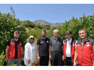 Kahramanmaraş’ta 22 bin sumak fidanı verime geçti