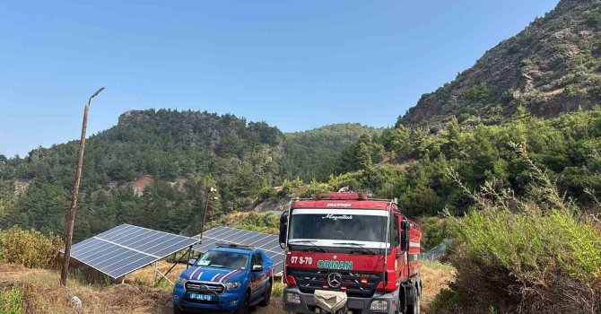 Gazipaşa’da çıkan yangın büyümeden söndürüldü