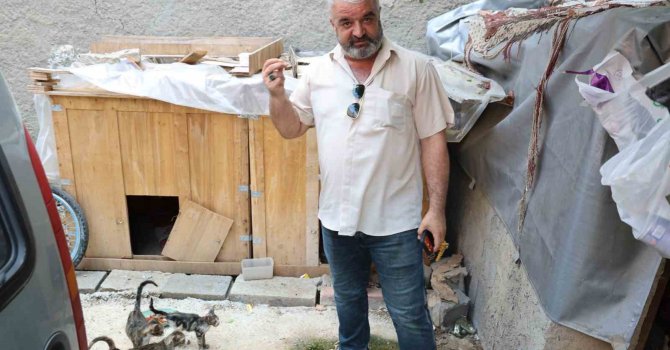 Kedi maması çalan hırsız vatandaşı canından bezdirdi