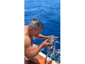 Alanya’da çuvala dolanan caretta carettayı tur teknesi kaptanı kurtardı