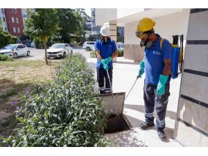 Büyükşehir vektörle mücadelede eğitim ve saha çalışmalarını sürdürüyor
