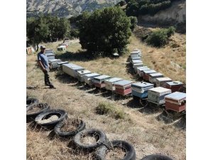 Burdur’da arılı kovanlar denetleniyor