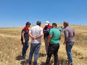 Burdur’da biçerdöverler denetleniyor