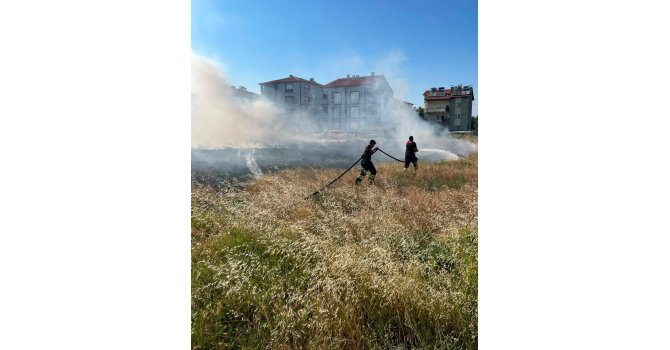 Rüzgarın etkisiyle büyüyen ot yangını evlere ulaşmadan söndürüldü