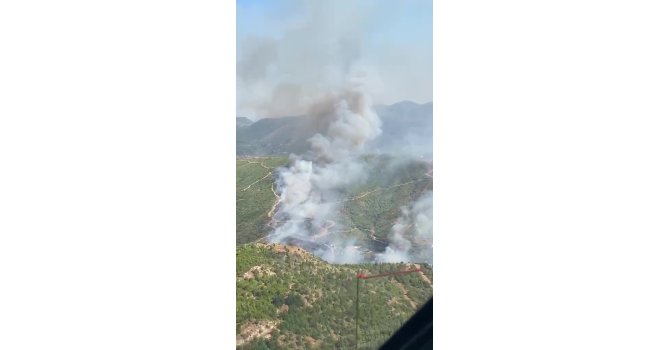 Alanya Sapadere Kanyonu’nda ormanlık alanda yangın